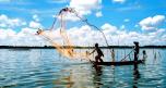 Traditioneller Fischfang im Mekong-Delta, Vietnam