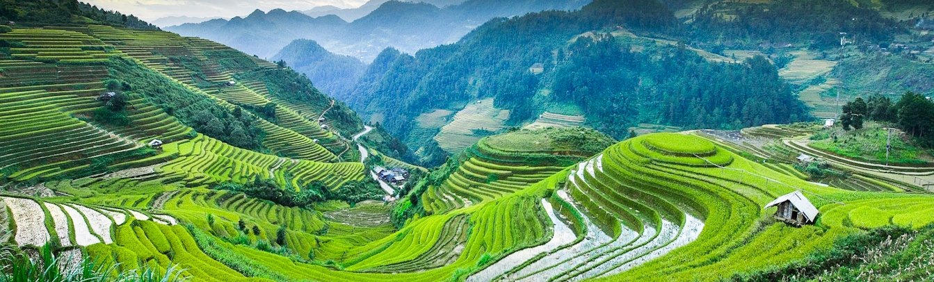 Majestätische Reisterrassen des Nordvietnam bieten den Reisenden tolle Fotomöglichkeiten