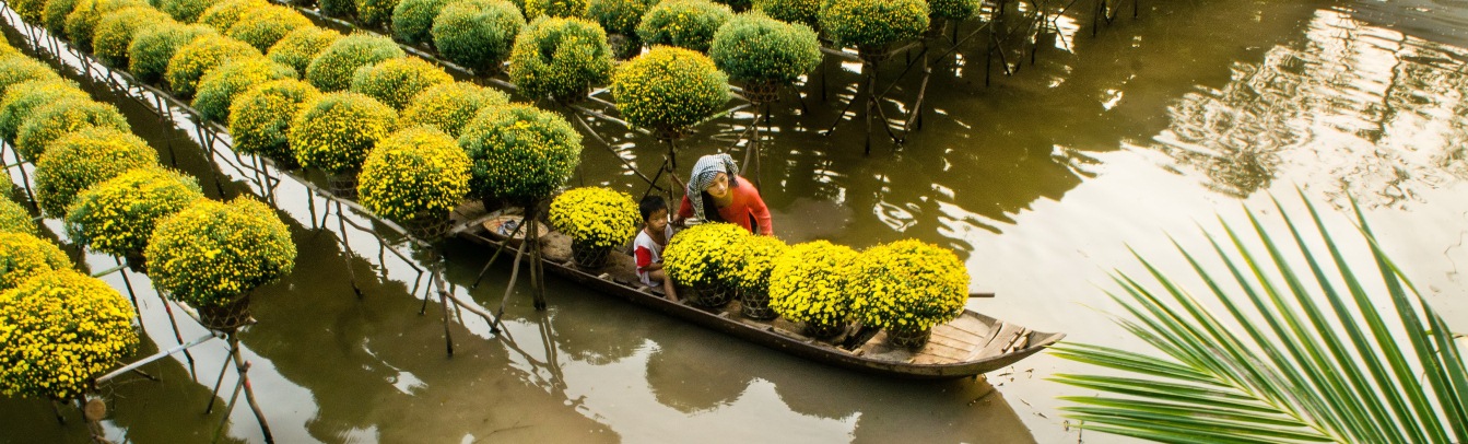 In einer Baumschule im Mekong-Delta Vietnams