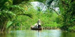 Grüne Natur des Mekong-Deltas in Can Tho