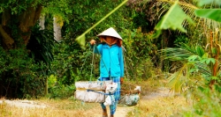 Auf dem Land des Mekong-Deltas, Vietnam