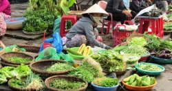 Mehrere frische Zutaten auf dem lokalen Markt von Hoi An