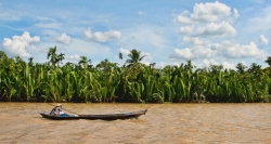 Die unberührte Natur auf der Tagestour ins Mekong-Delta