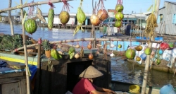 Boot zum Verkauf von Früchten auf einem schwimmenden Markt im Mekong-Delta