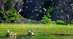 Vogelbeobachtung im Naturschutzgebiet Van Long, Ninh Binh