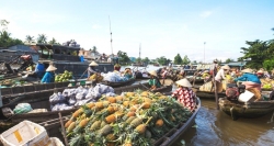 Üppige Früchte auf einem schwimmenden Markt im Mekong-Delta Vietnams