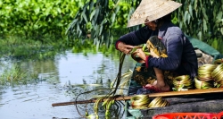 Frau bei traditioneller Arbeit, Mekong Delta, Vietnam