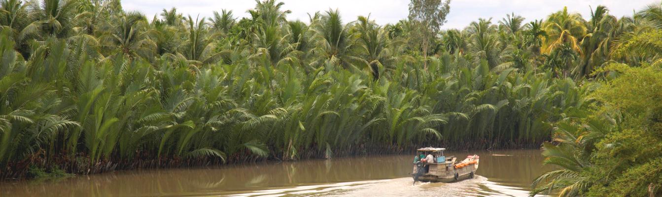 Bootsfahrt durch unzählige Wasserkokospalmen in Ben Tre, Mekong-Delta