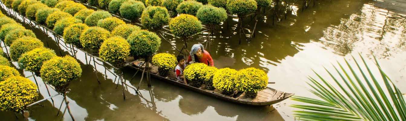Zierplanzen im Blumengarten Sa Dec, Mekong-Delta