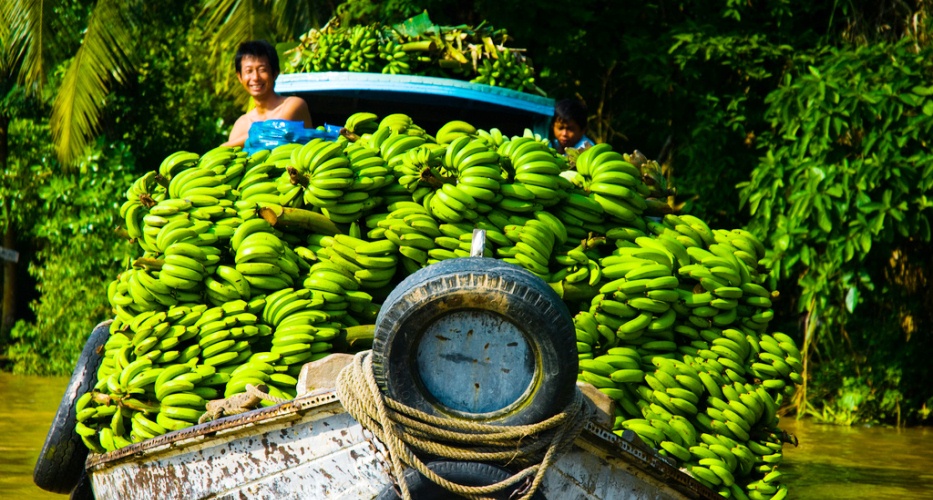 Boote voller Bananen auf dem schwimmenden Markt im Mekong Delta