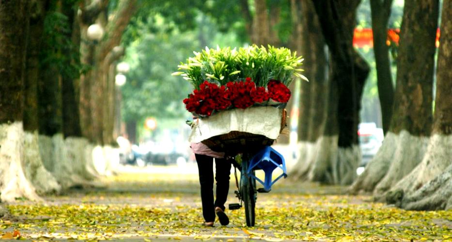 Schönes Hanoi im Herbst