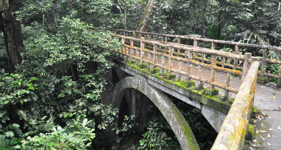 Kleine Brücke im Nationalpark Cuc Phuong