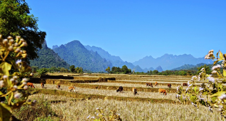 Vang Vieng gilt als eine beliebte Destination für Wandergruppen und Outdoor-Aktivitäten in Laos