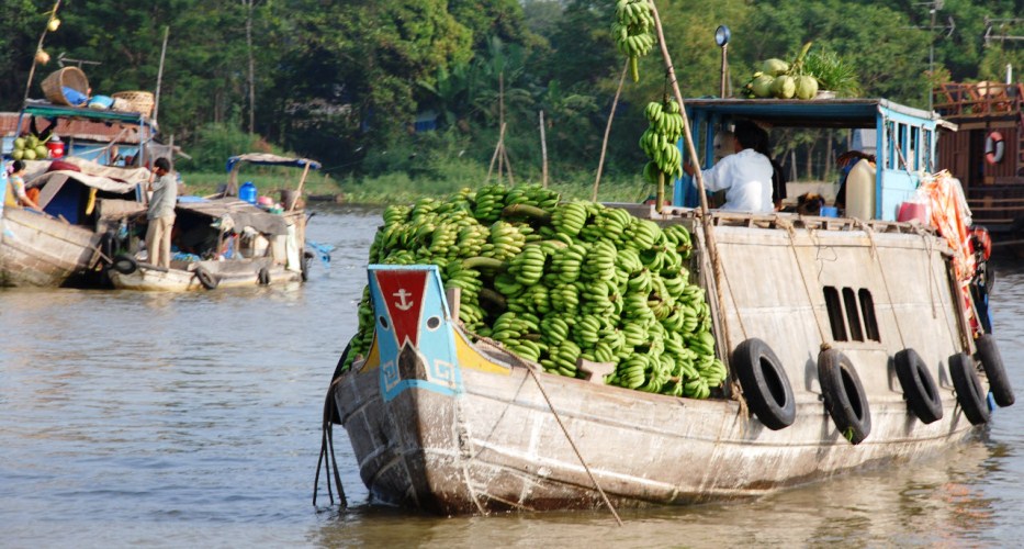 Vertraute Umgebung auf dem Mekong
