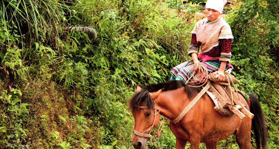 Hmong-Frau auf dem Pferd in Sapa