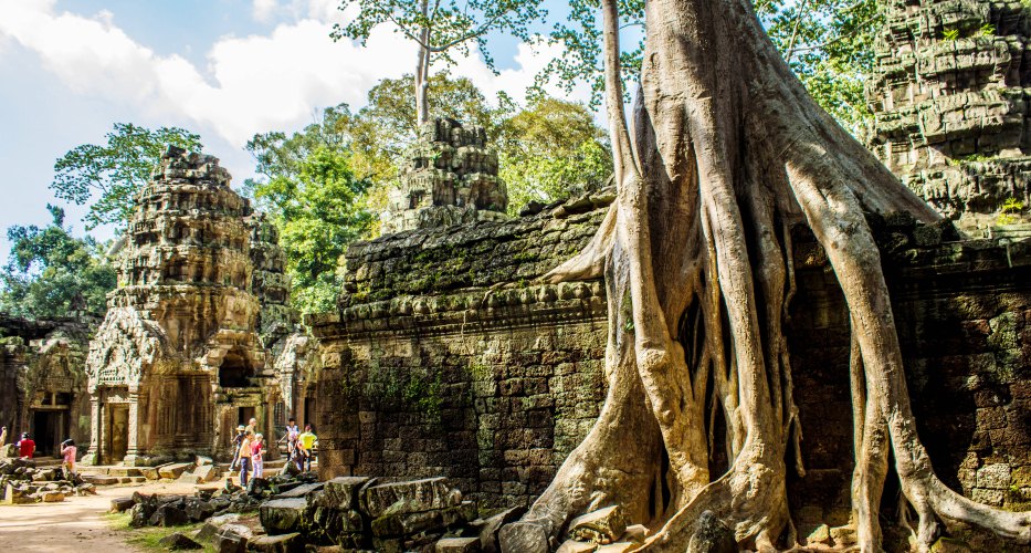 Durch einen Kambodscha Urlaub können Sie der verborgene Tempel Ta Prohm in Siem Reap besuchen