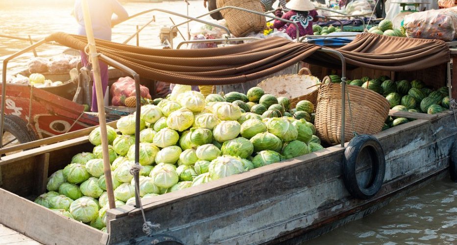 Weißkohl und Wassermelone auf einem Boot zum schwimmenden Markt Cai Rang