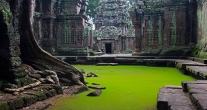 Tag 4: Siem Reap - Banteay Srey - Kbal Spean