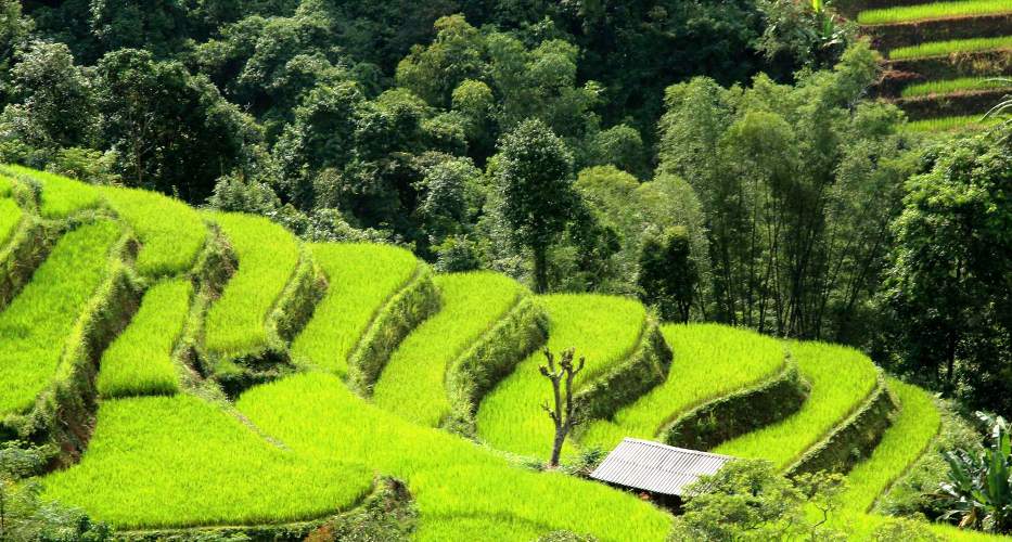 Beeindruckende Naturlandschaft von Ha Giang