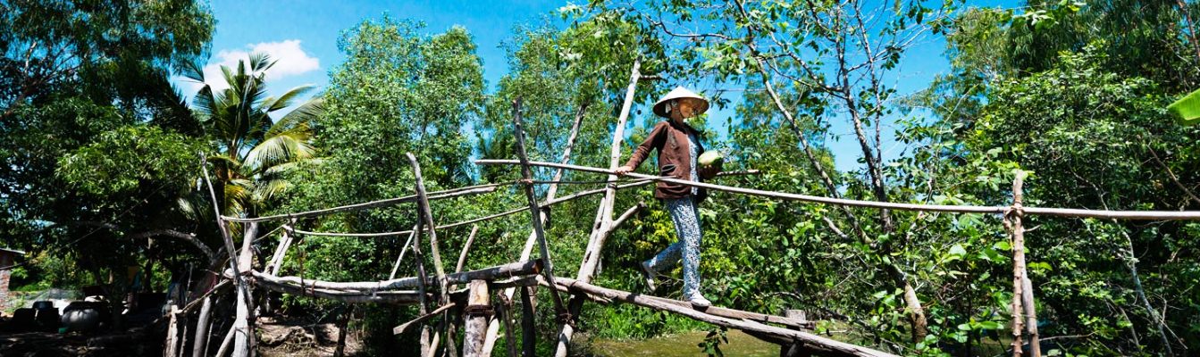 Über Affenbrücke im Mekong-Delta überqueren