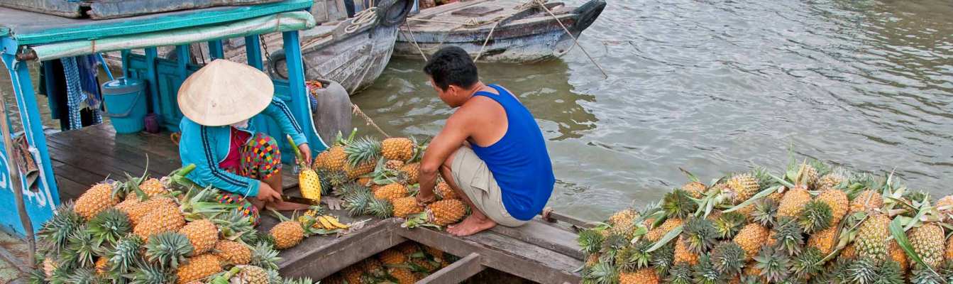 Boot voller Ananas auf dem schwimmenden Markt im Mekong-Delta
