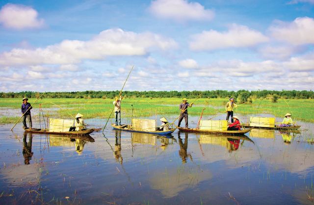 fishermen are fishing on the riverbank of Mekong Delta Vietnam