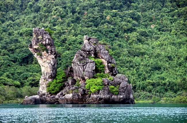 Swan Islet - a graceful shape among the vast water sea of Bai Tu Long Bay