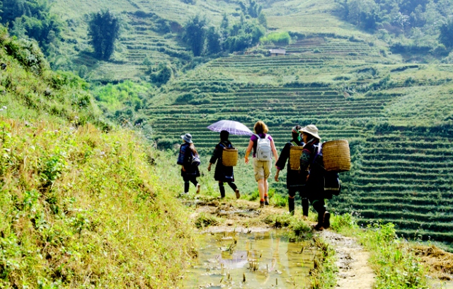 Trekking durch herrliche Landschaften zu Besuch der ethnischen Dörfer in Sapa