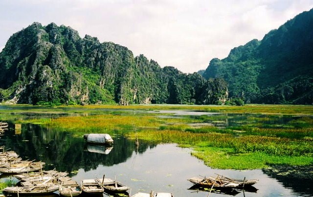 Van Long - das größte Feuchtschutzgebiet in Nordvietnam 